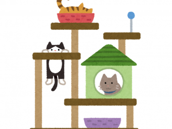 キャットウォーク 232